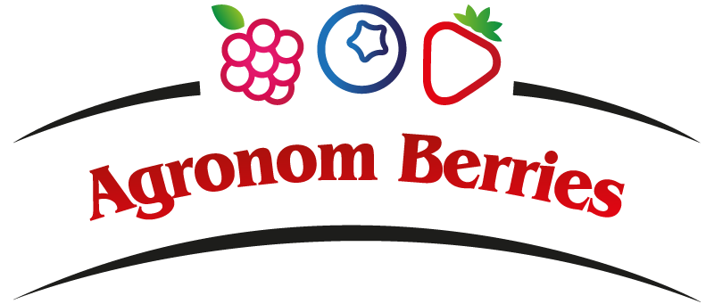 logo firmy współpracującej z kancelarią Bloch